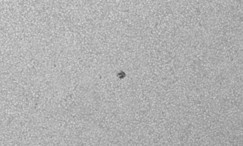 2024年6月30日の黒点（活動領域13730）