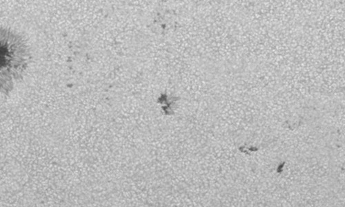 2024年6月30日の黒点（活動領域13732）