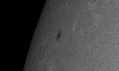 2024年6月30日の黒点（活動領域13735）