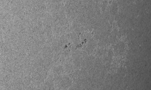 2024年6月30日の黒点（活動領域13720）