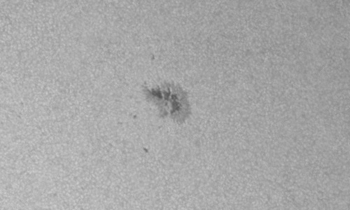 2024年6月30日の黒点（活動領域13721）