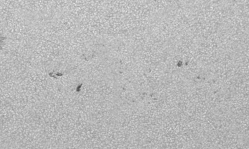 2024年6月30日の黒点（活動領域13723）