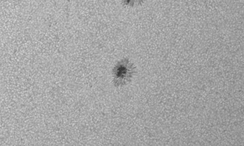 2024年6月30日の黒点（活動領域13724）