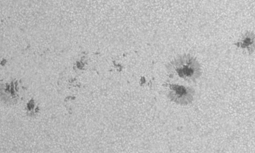 2024年6月30日の黒点（活動領域13729）