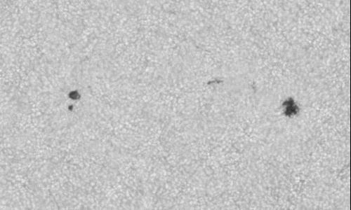 2024年7月2日の黒点（活動領域13733）