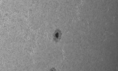 2024年7月2日の黒点（活動領域13722）