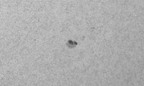 2024年7月2日の黒点（活動領域13728）