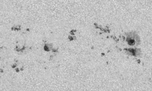 2024年7月2日の黒点（活動領域13729）