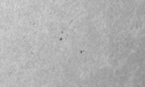 2024年7月3日の黒点（活動領域13723）