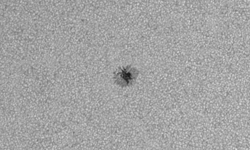 2024年7月4日の黒点（活動領域13735）