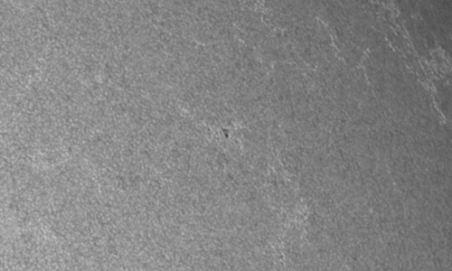 2024年7月4日の黒点（活動領域13721）