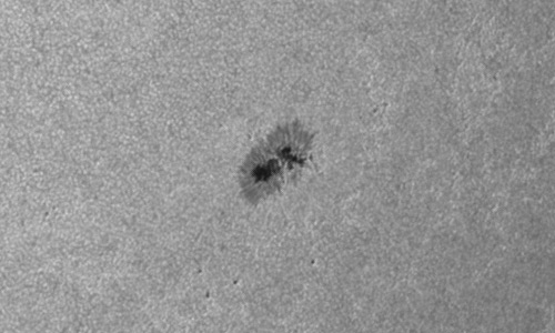 2024年7月4日の黒点（活動領域13727）