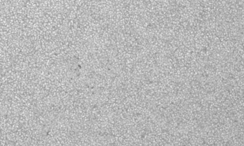 2024年7月4日の黒点（活動領域13731）