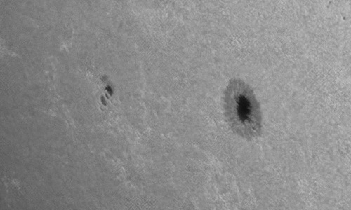 2024年7月5日の黒点（活動領域13736）