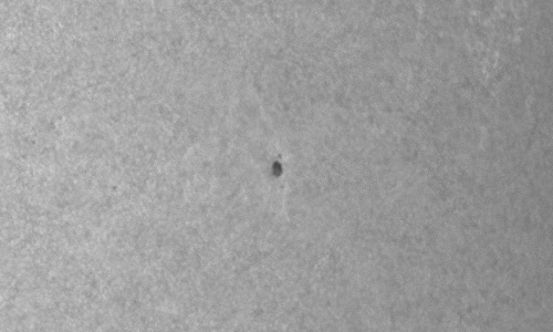 2024年7月9日の黒点（活動領域13739）