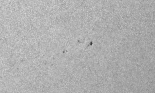 2024年7月9日の黒点（活動領域13740）