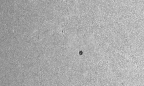 2024年7月9日の黒点（活動領域13741）