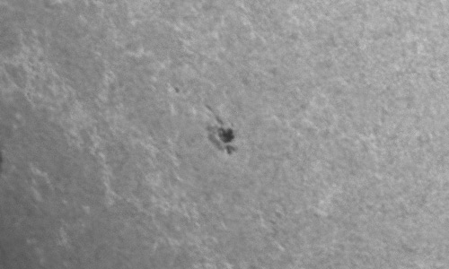 2024年7月10日の黒点（活動領域13742）