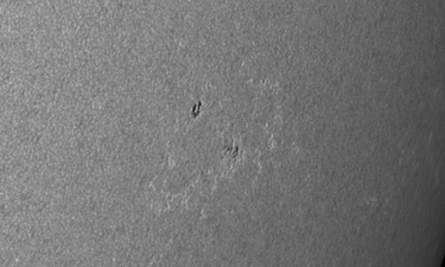 2024年7月11日の黒点（活動領域13740）