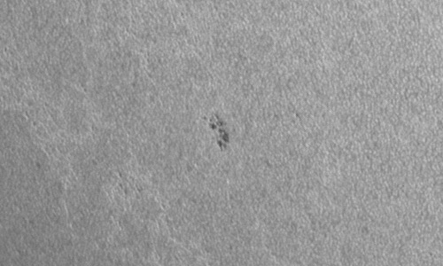 2024年7月11日の黒点（活動領域13742）