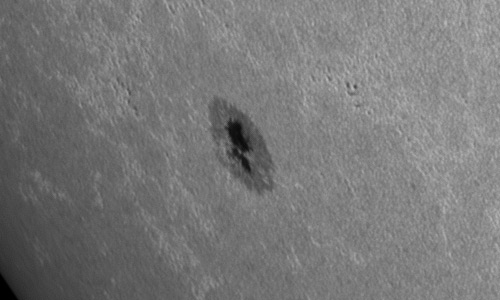 2024年7月11日の黒点（活動領域13747）