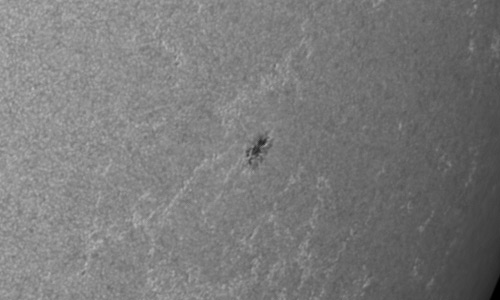 2024年7月13日の黒点（活動領域13736）