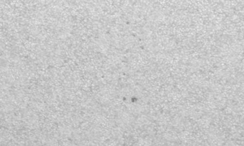 2024年7月13日の黒点（活動領域13742）