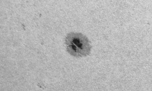 2024年7月13日の黒点（活動領域13747）