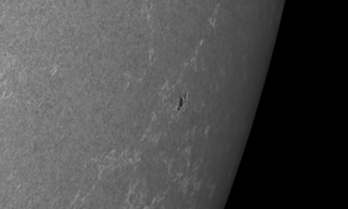 2024年7月14日の黒点（活動領域13736）