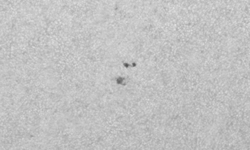 2024年7月14日の黒点（活動領域13742）