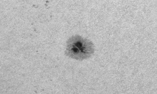 2024年7月14日の黒点（活動領域13747）