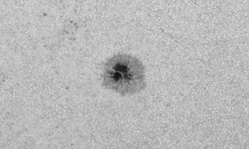 2024年7月15日の黒点（活動領域13747）