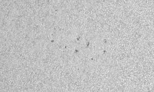 2024年7月15日の黒点（活動領域13748）