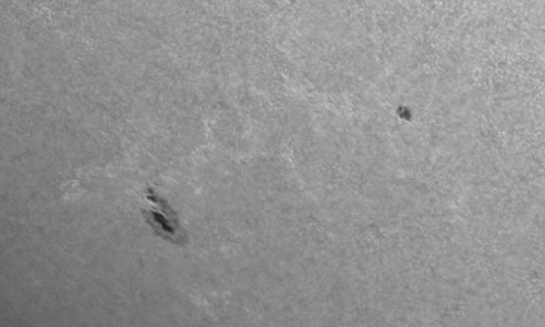 2024年7月15日の黒点（活動領域13749）