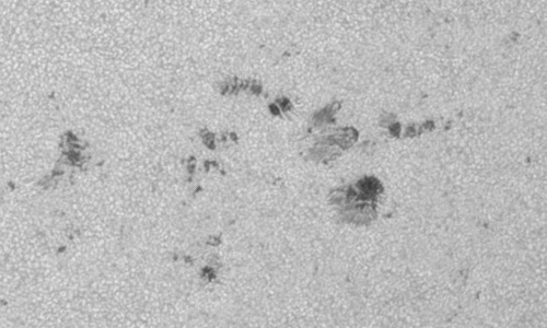 2024年7月16日の黒点（活動領域13743）