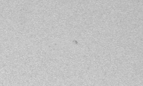 2024年7月21日の黒点（活動領域13752）