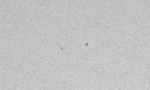 2024年7月21日の黒点（活動領域13754）