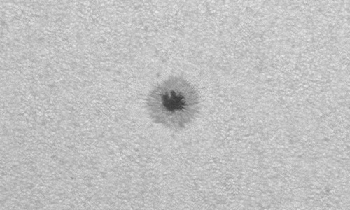 2024年7月21日の黒点（活動領域13756）