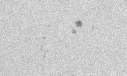 2024年7月21日の黒点（活動領域13755）