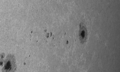 2024年7月24日の黒点（活動領域13751）