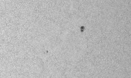 2024年7月24日の黒点（活動領域13755）