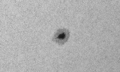 2024年7月24日の黒点（活動領域13756）