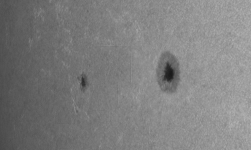 2024年7月24日の黒点（活動領域13763）