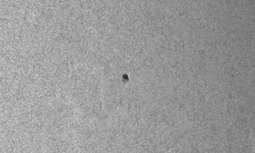 2024年7月25日の黒点（活動領域13755）