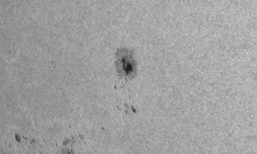 2024年7月25日の黒点（活動領域13764）