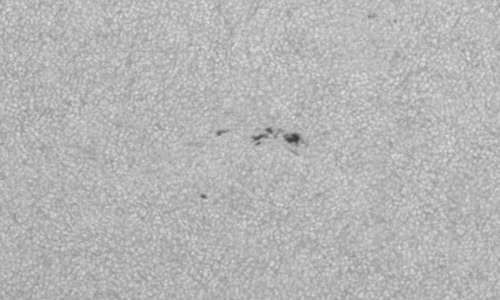 2024年7月26日の黒点（活動領域13768）