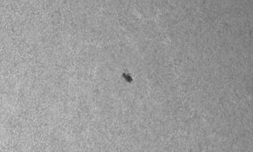 2024年7月26日の黒点（活動領域13757）