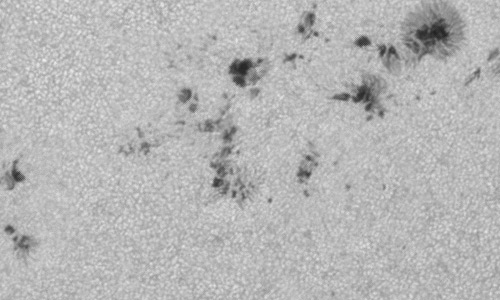 2024年7月26日の黒点（活動領域13762）