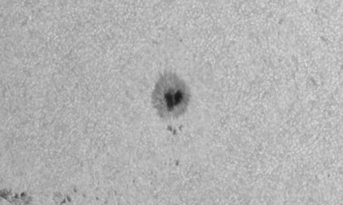 2024年7月26日の黒点（活動領域13764）