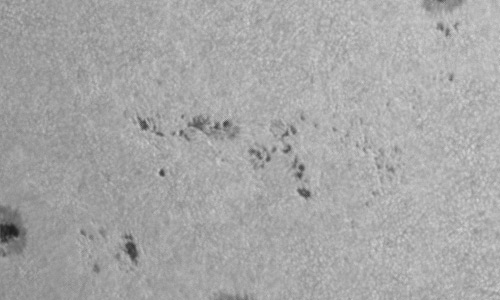 2024年7月26日の黒点（活動領域13766）